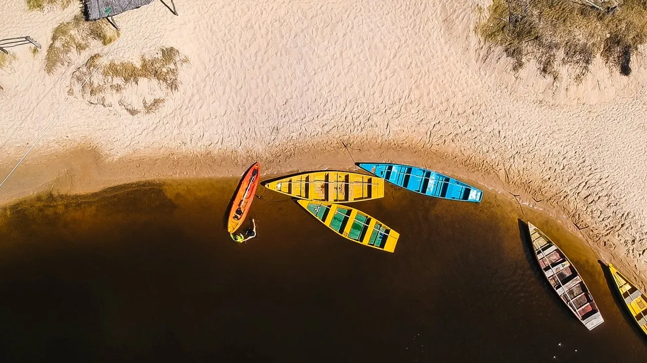 Top view of colored row boats
